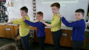P5 learn about the Great War