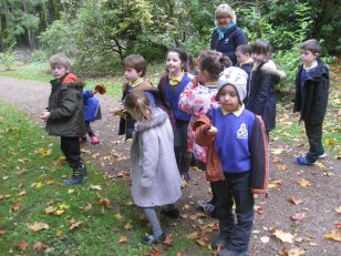 Mrs Reihills P3 class enjoy an autumn walk